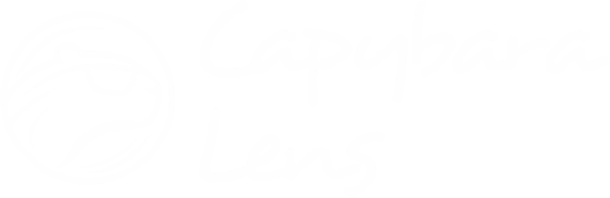Capybara Lens